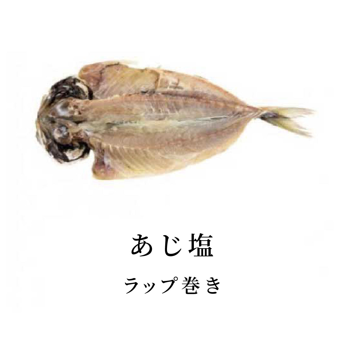 売れ筋7種セット【V】
