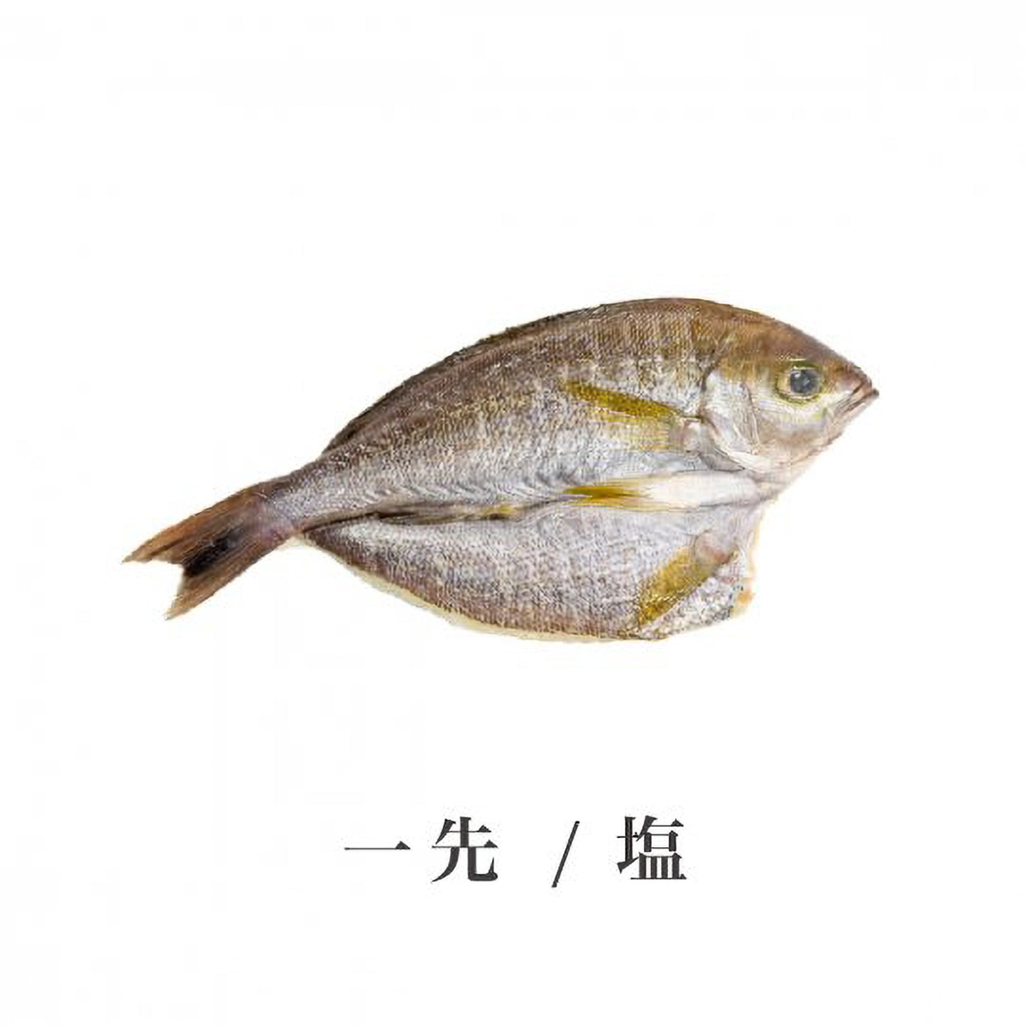 厳選セット【B】
