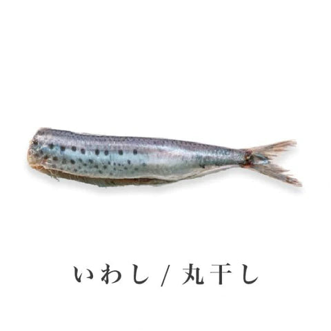 いわし塩丸干し(2〜3尾入)|真空パック