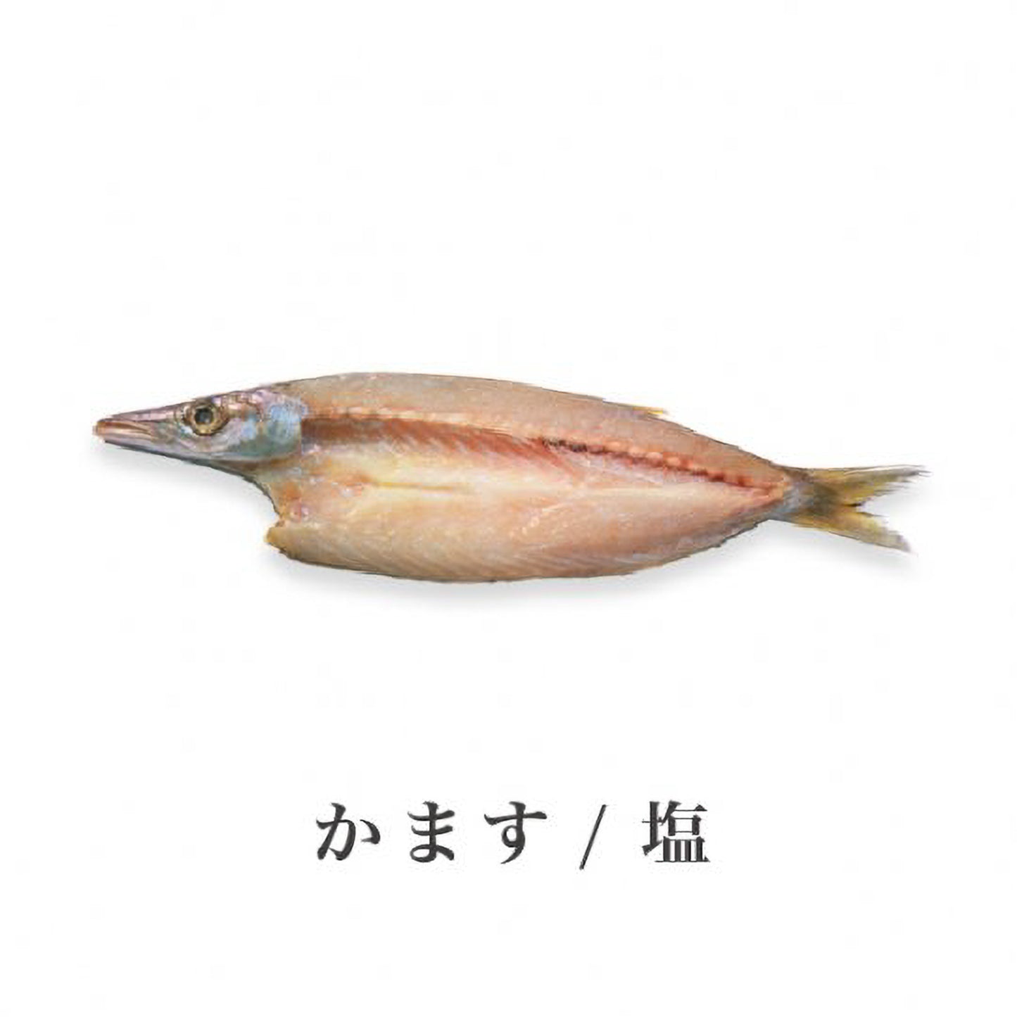 厳選セット【B】