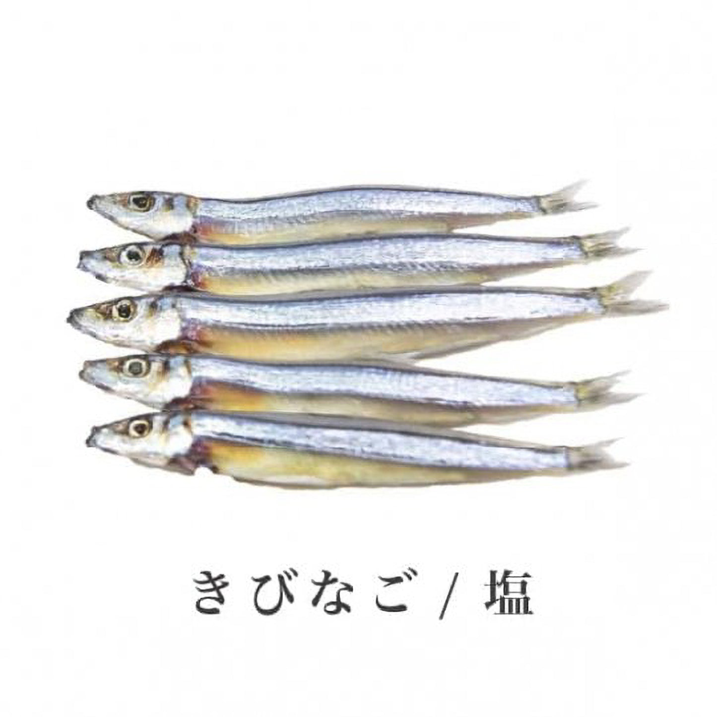 長崎産お手頃セット【N】