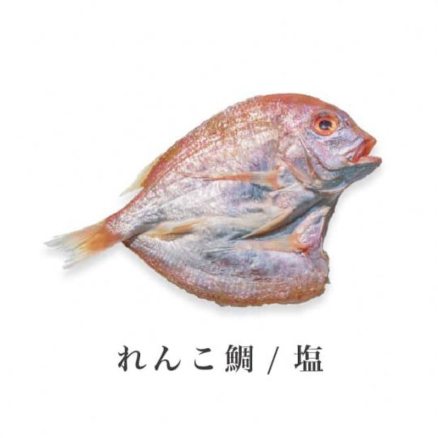 厳選セット【B】