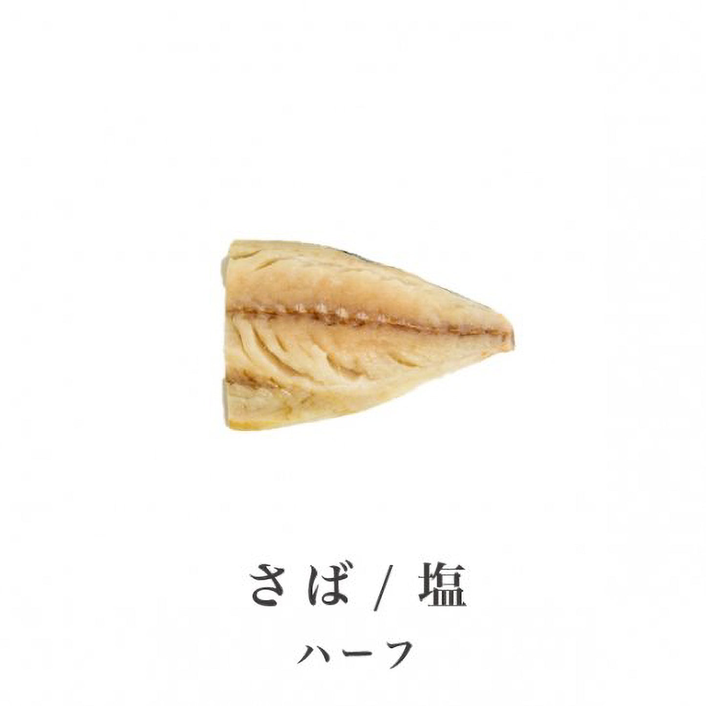 さば10切れセット(塩)【J-塩】