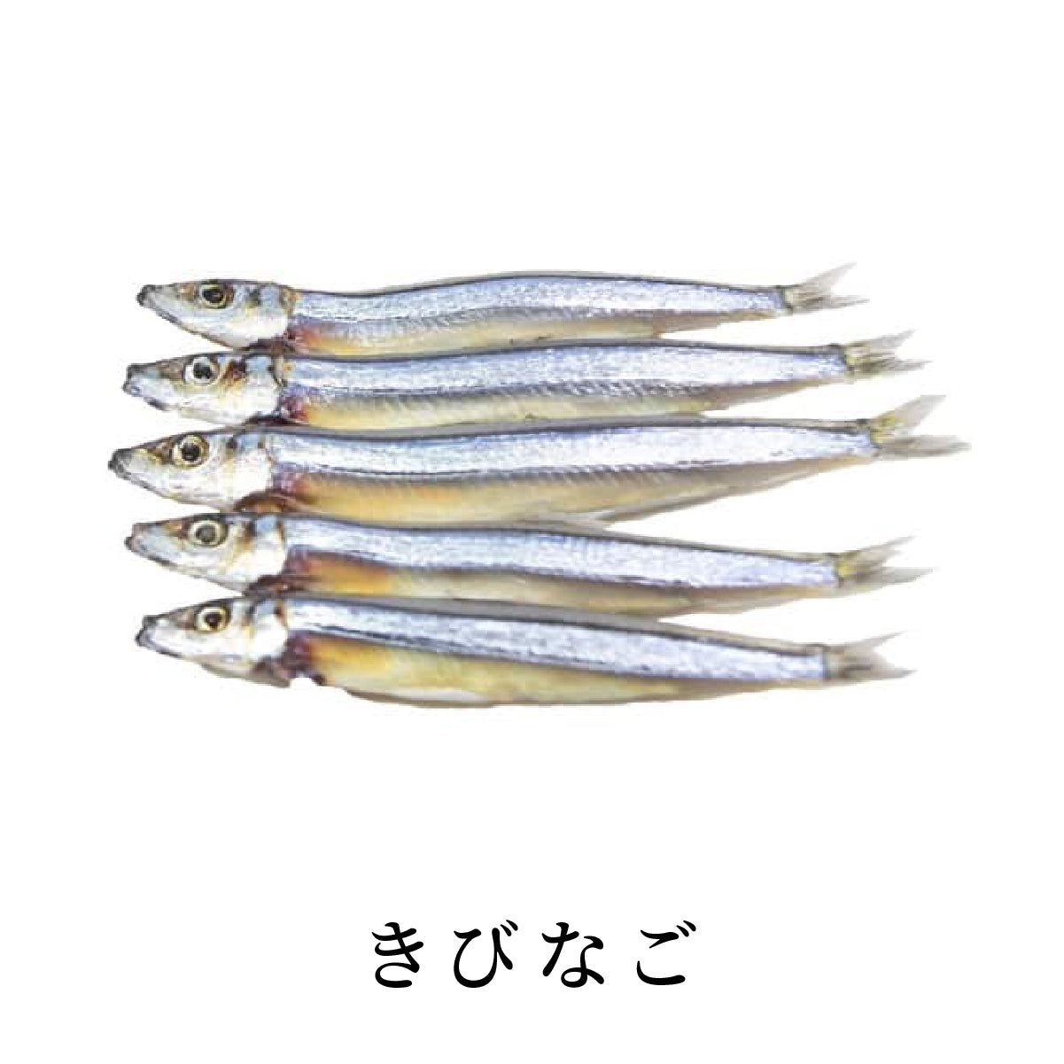 きびなご 150g|真空パック