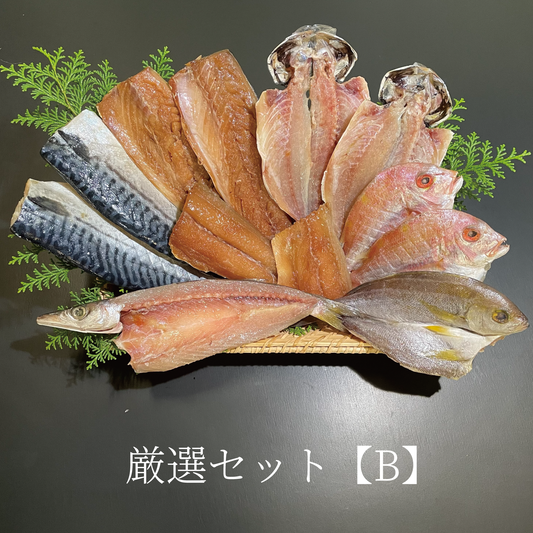 厳選セット【B】