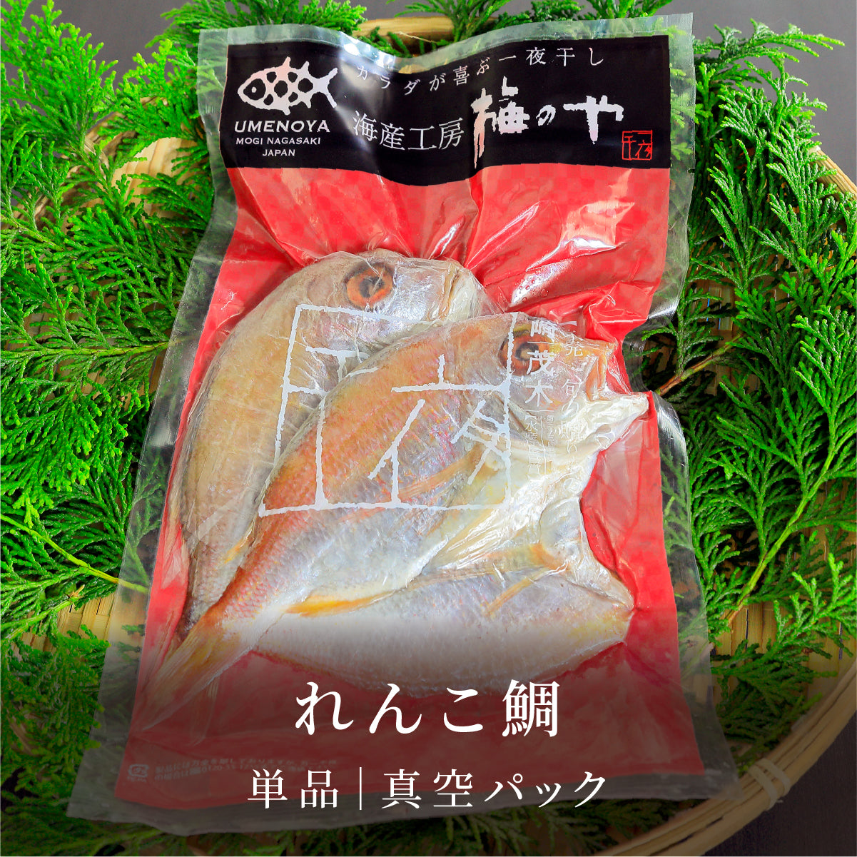 れんこ鯛[真空パック] - 干物(一夜干し)の通販 – 海産工房梅のや