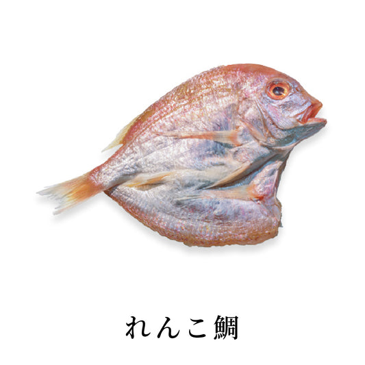れんこ鯛|真空パック