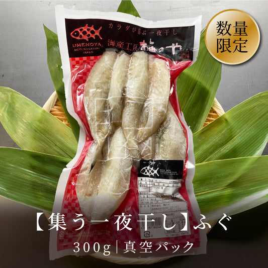 【集う一夜干し】ふぐ 300g