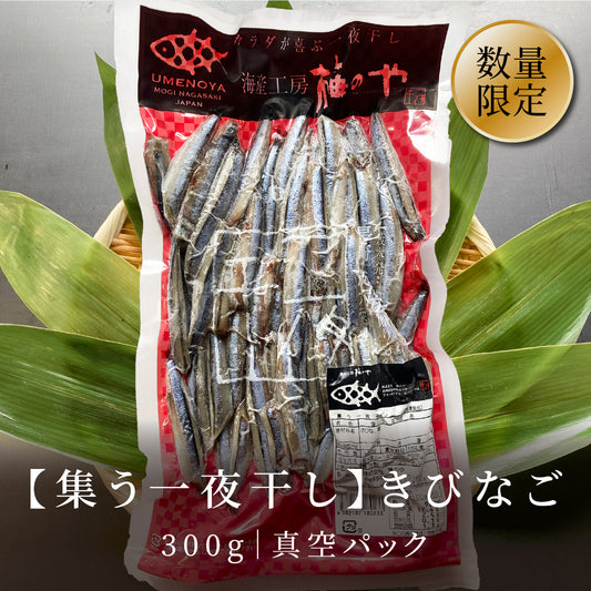 【集う一夜干し】きびなご 300g